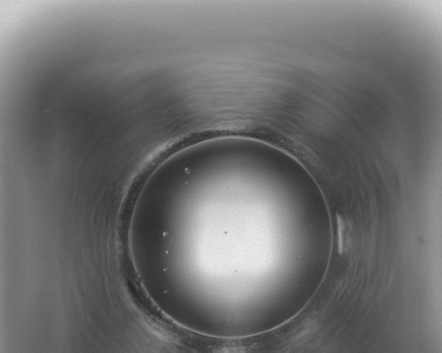 X0000061720252200512092008