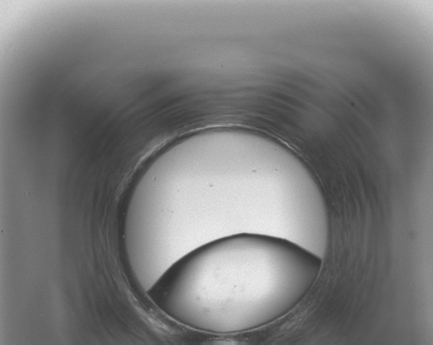 X0000061720253200512092008