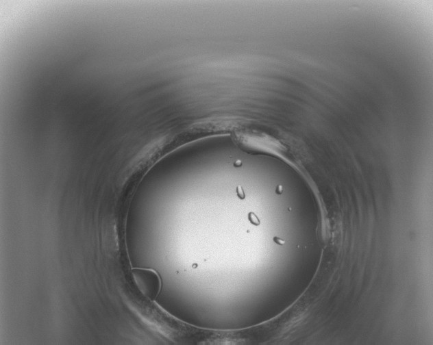 X0000061720254200512092008