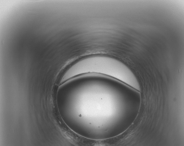 X0000061720256200512092008