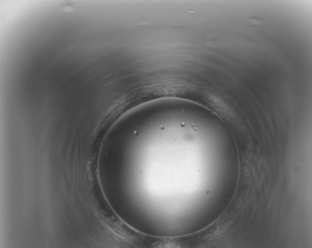 X0000061720258200512092008