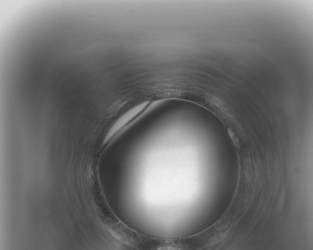 X0000061720259200512092008