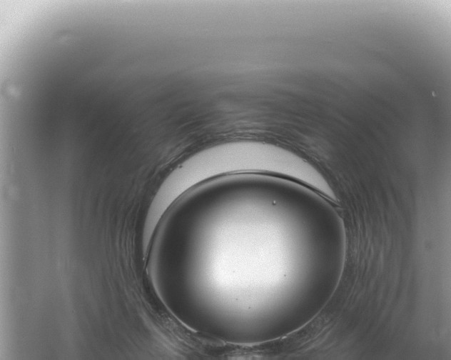 X0000061720263200512092008