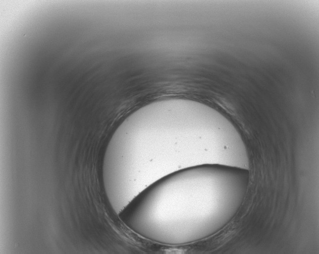 X0000061720265200512092008