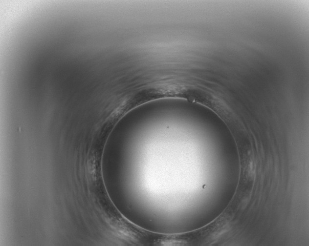 X0000061720268200512092008