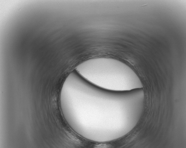 X0000061720269200512092008