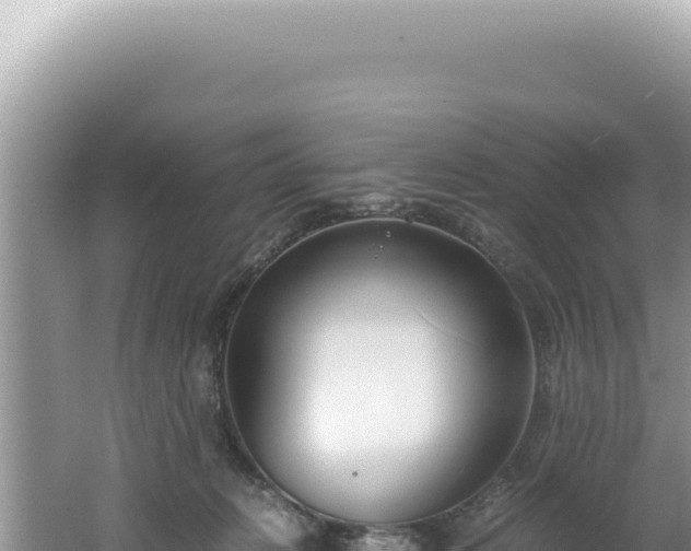 X0000061720270200512092008