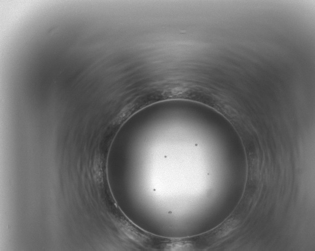 X0000061720274200512092008