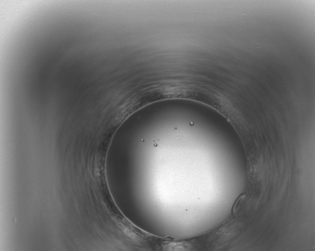 X0000061720277200512092008