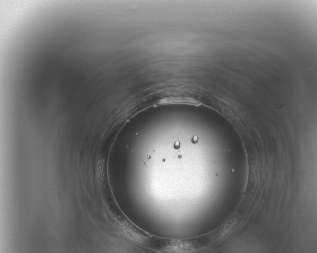 X0000061720278200512092008