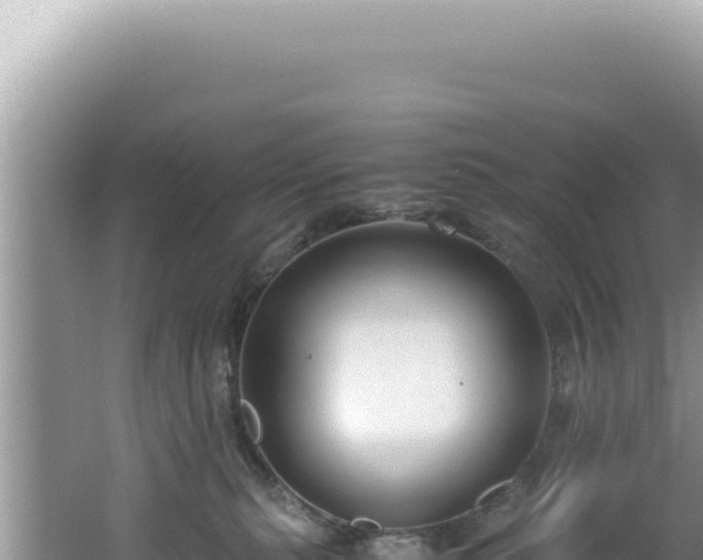 X0000061720279200512092008