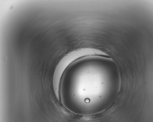 X0000061720280200512092008