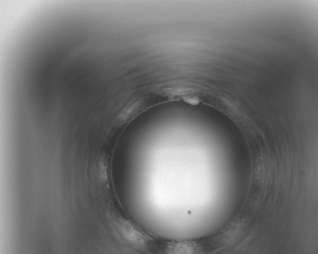 X0000061720282200512092008