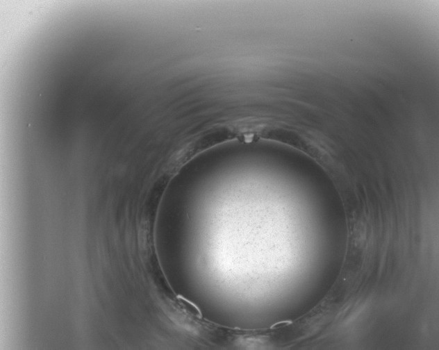 X0000061720283200512092008