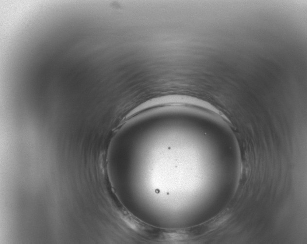 X0000061720286200512092008