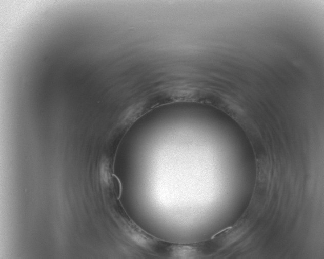 X0000061720287200512092008