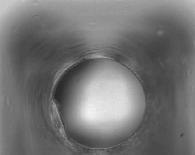 X0000061720289200512092007