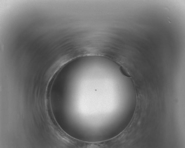 X0000061720290200512092007