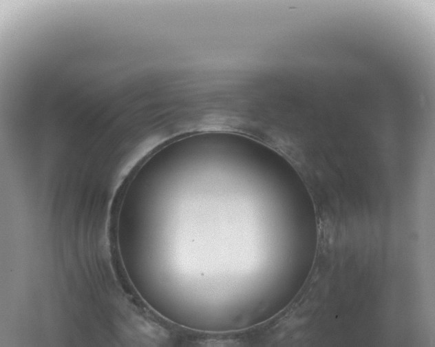 X0000061720292200512092007