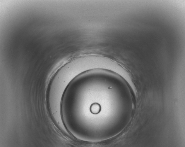 X0000061720293200512092007