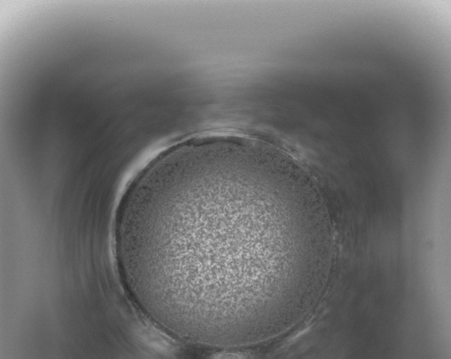 X0000061720294200512092007