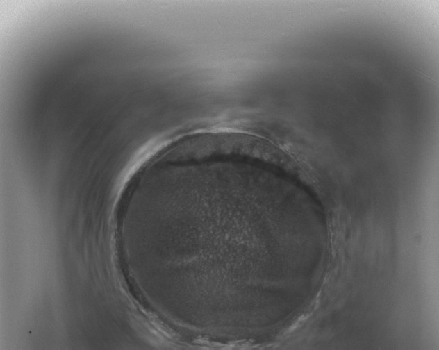 X0000061720295200512092007