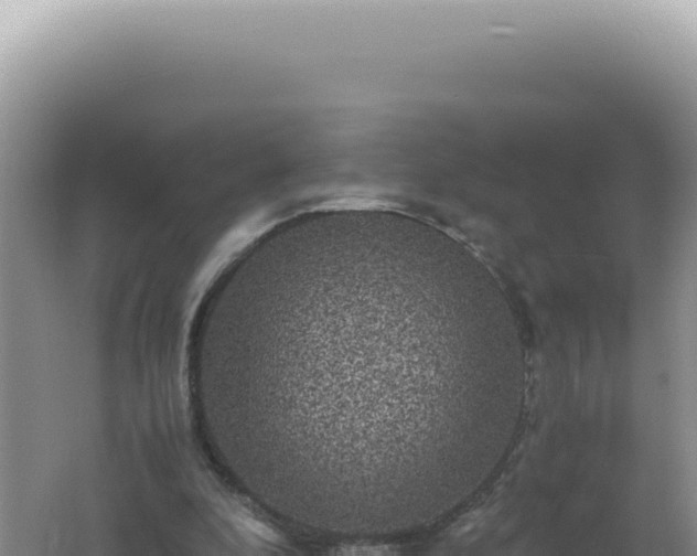 X0000061720296200512092007