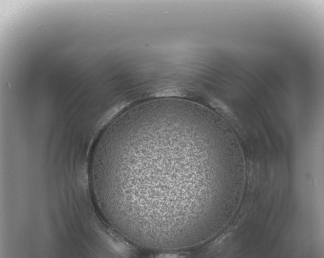 X0000061720298200512092007