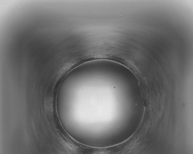 X0000061720299200512092007