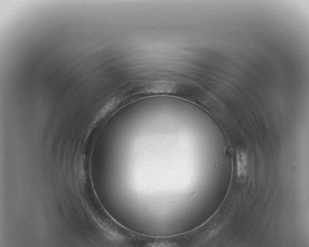 X0000061720300200512092007