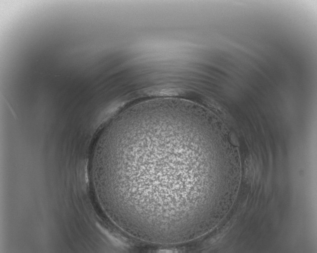 X0000061720302200512092007