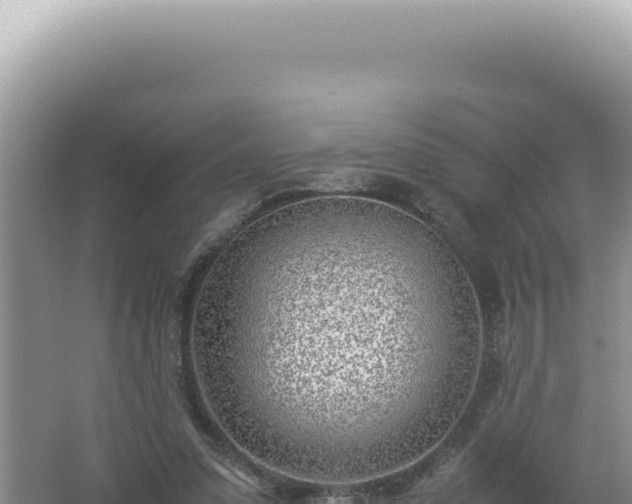 X0000061720303200512092007