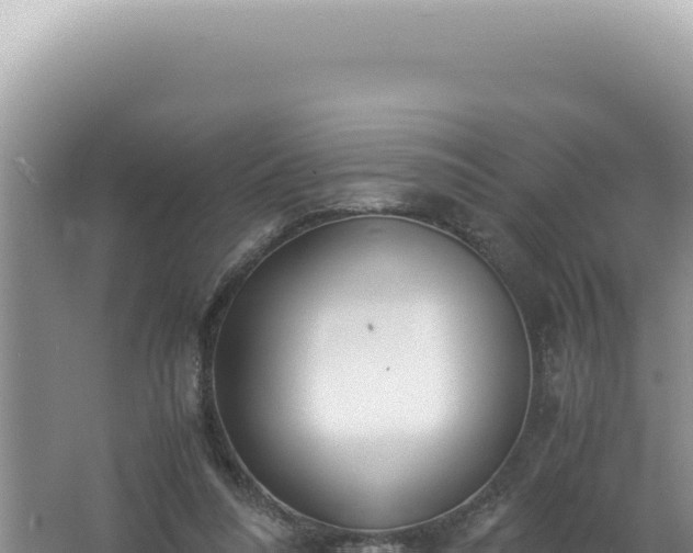 X0000061720304200512092007