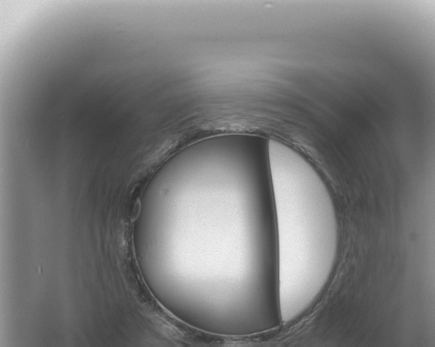 X0000061720305200512092007