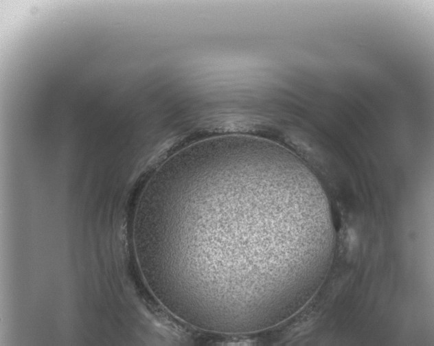 X0000061720306200512092007