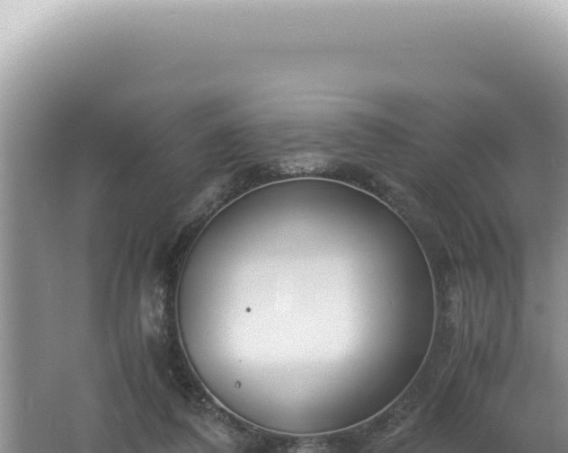 X0000061720308200512092007