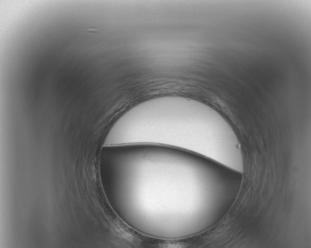 X0000061720313200512092007