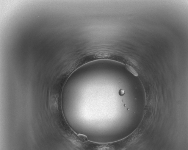 X0000061720315200512092007