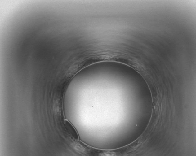 X0000061720317200512092007