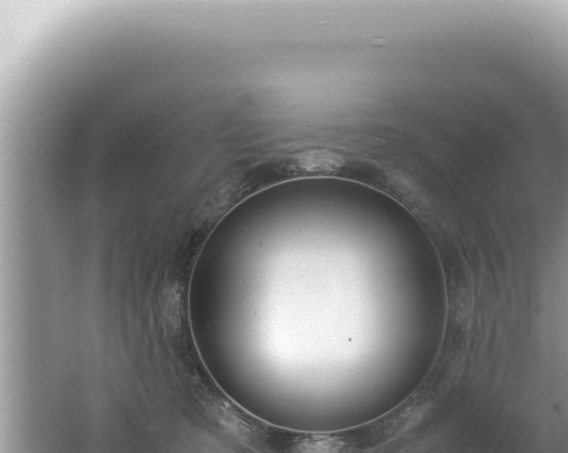 X0000061720321200512092007