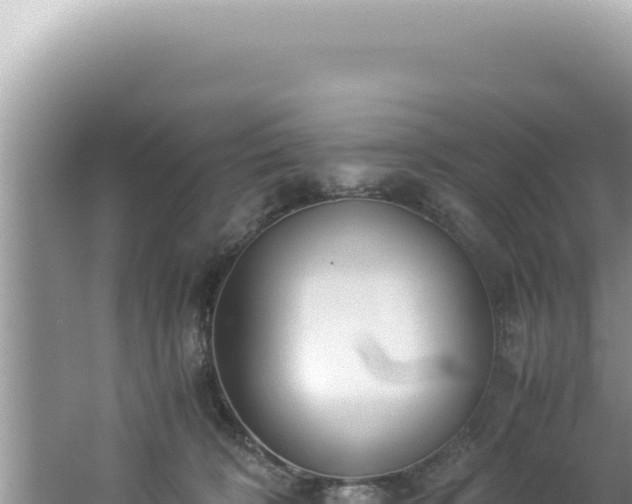 X0000061720324200512092007