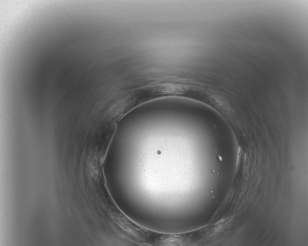 X0000061720325200512092007