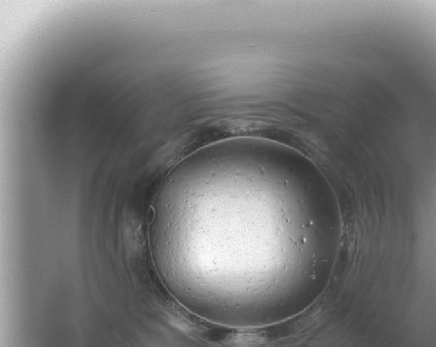 X0000061720327200512092007