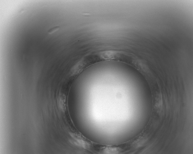 X0000061720332200512092007