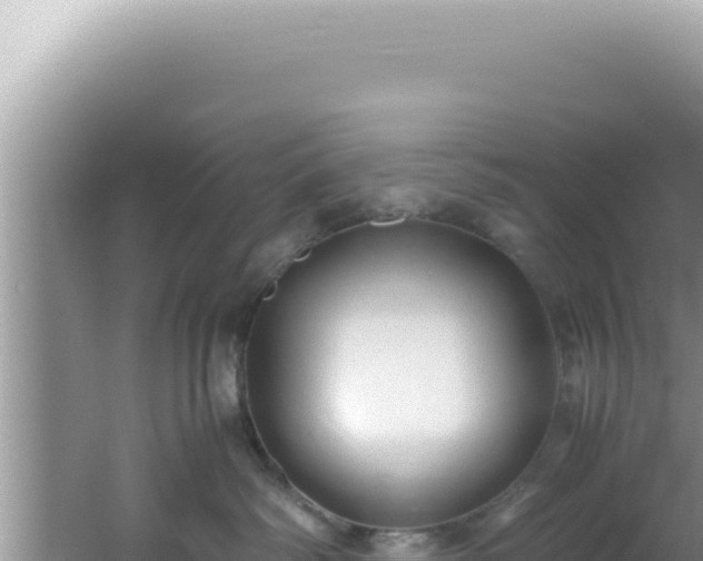 X0000061720334200512092007