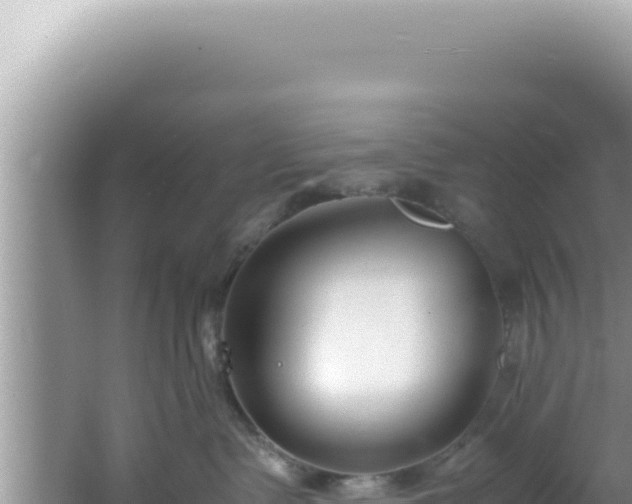 X0000061720335200512092007