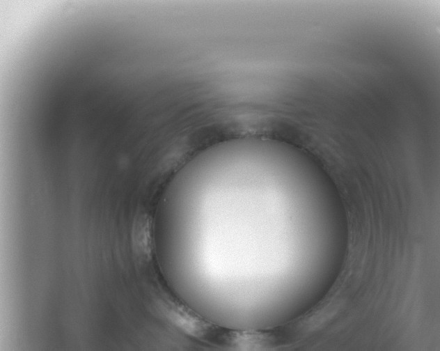 X0000061720336200512092007