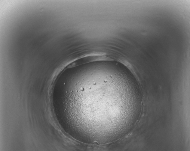 X0000061720337200512092006