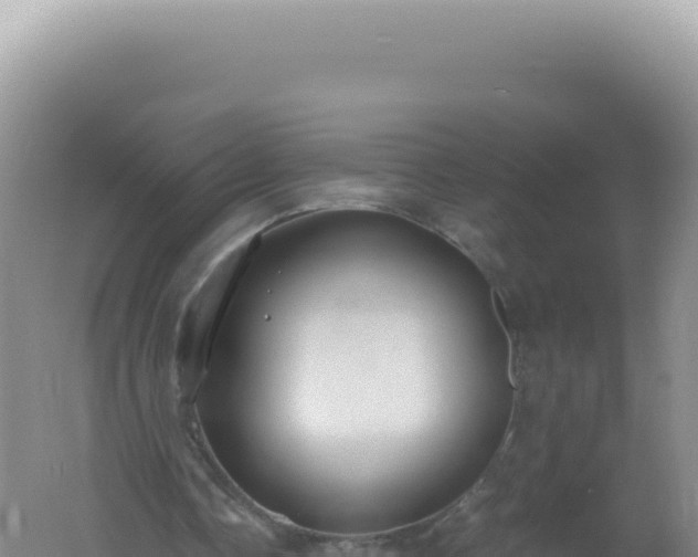 X0000061720338200512092006