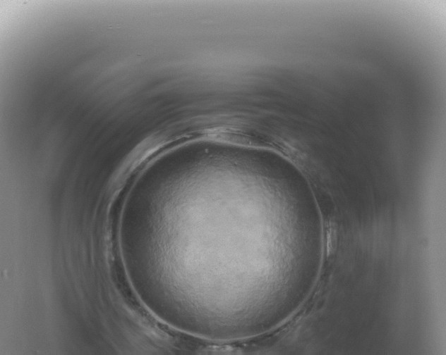 X0000061720339200512092006